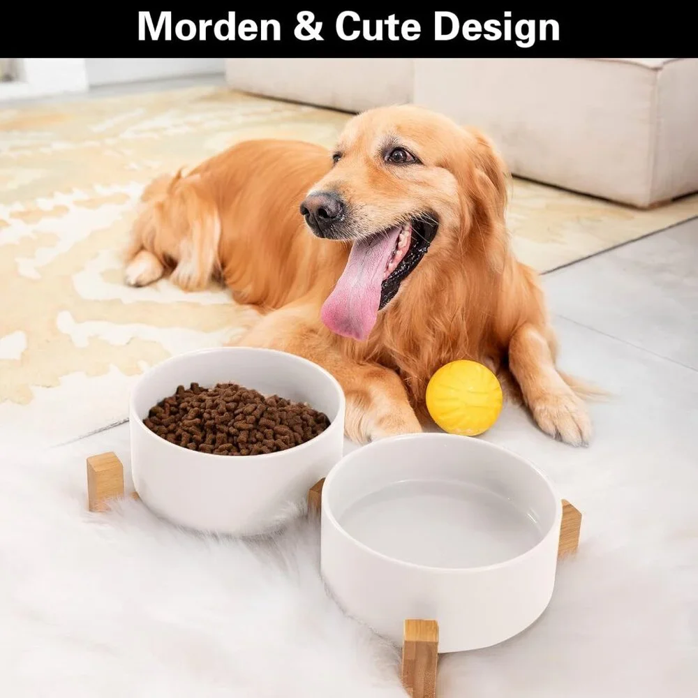 Ceramic Pet Bowl Set (Cat or Small Dogs) 1 3/4 Cups X 2, 5.1